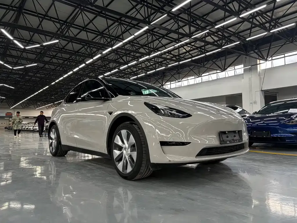 Tesla Model Y — фото 10