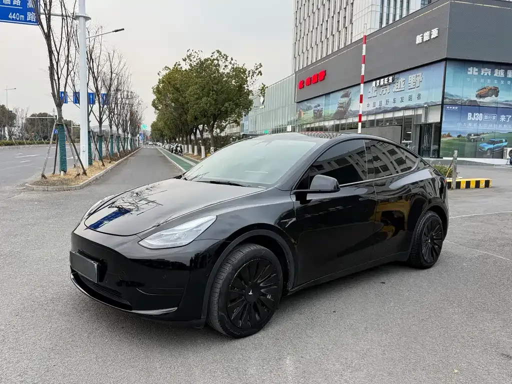 Tesla Model Y — фото 1