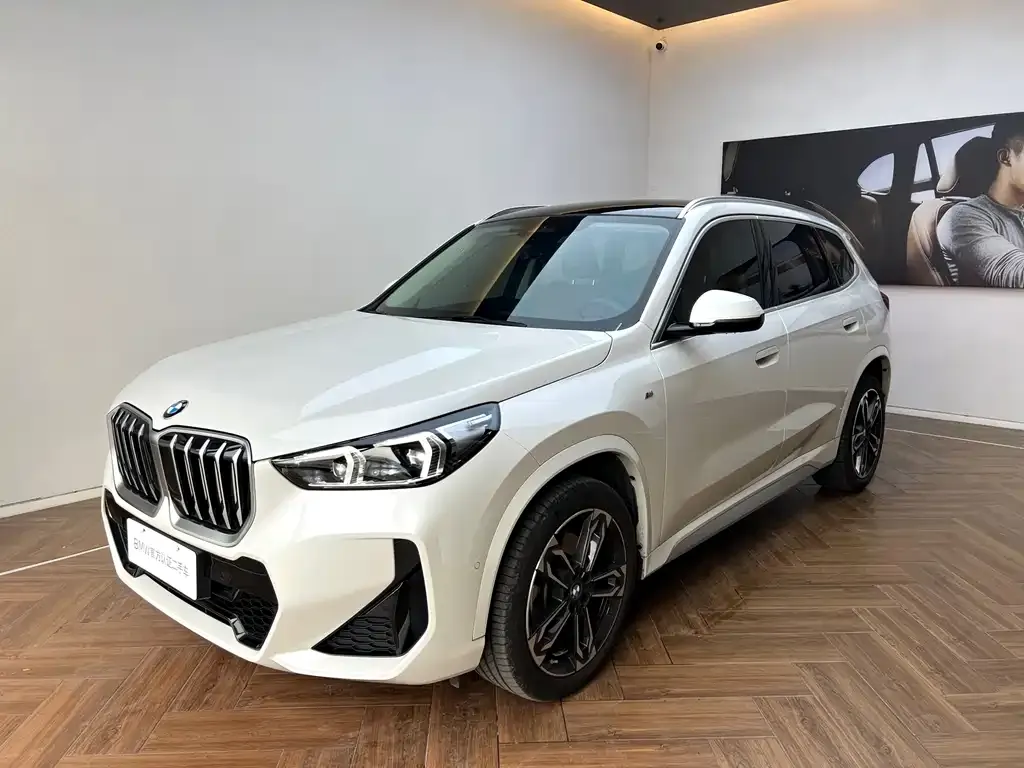 BMW X1 — фото 1