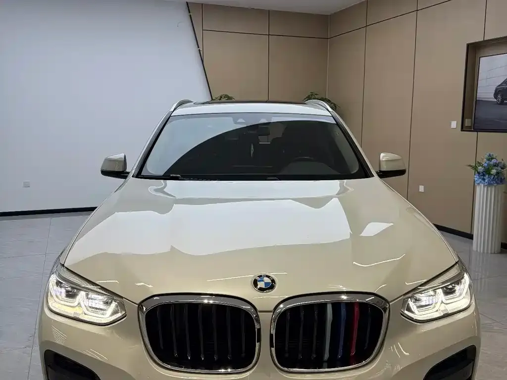 BMW X3 — фото 1