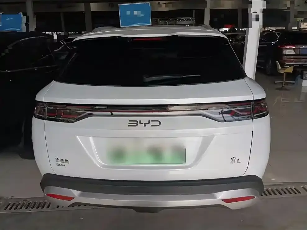 BYD L DM-i — фото 5