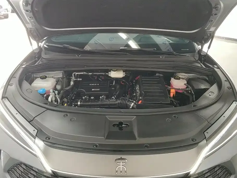BYD L DM-i — фото 4