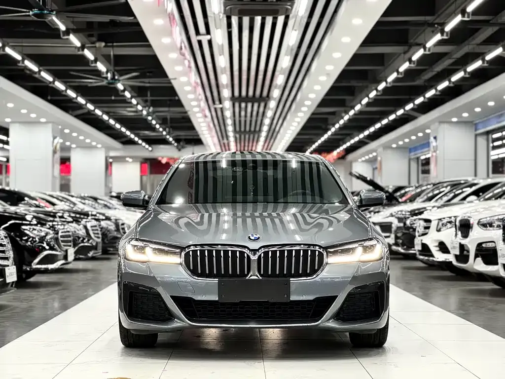 BMW 5 Series (Import) — фото 5