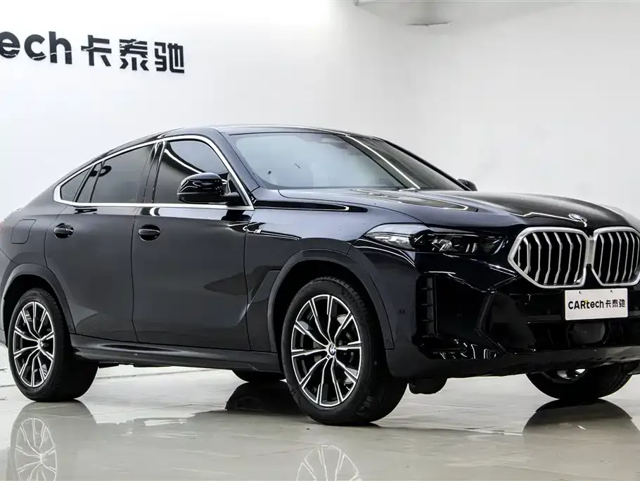 BMW X6 — фото 10