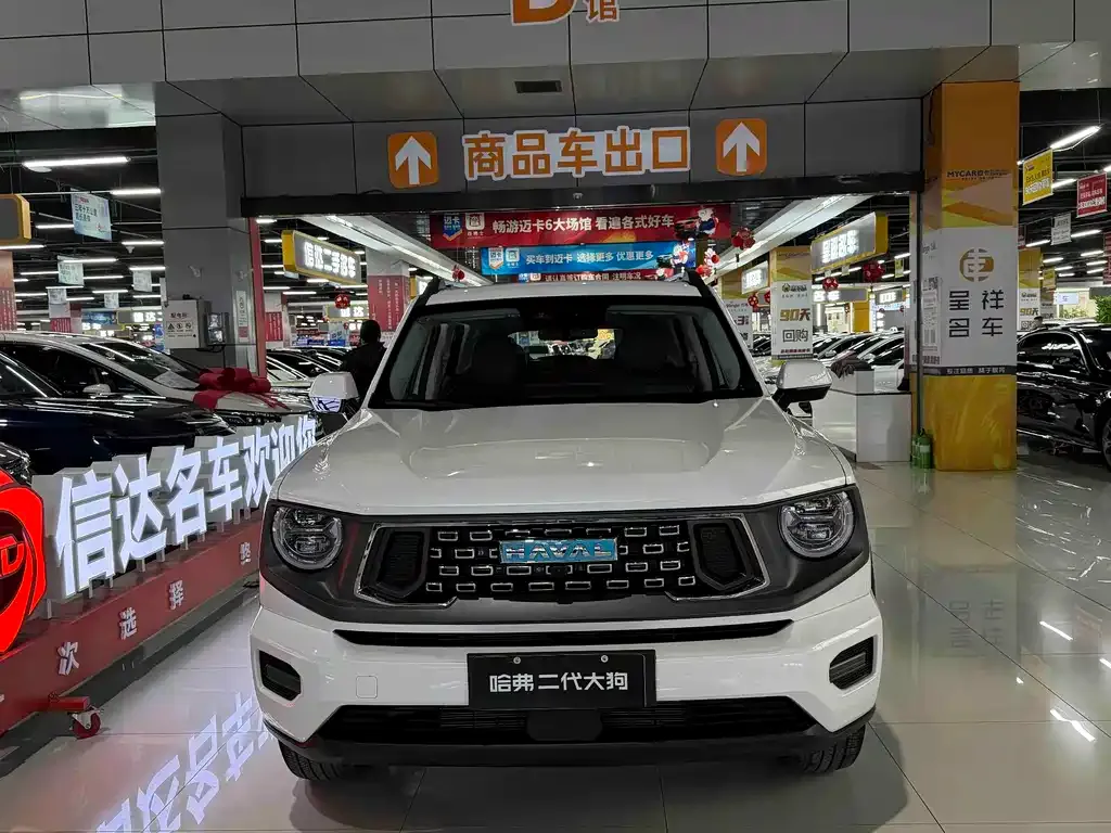 Haval H7 (Big Dog Plus) New Energy — фото 4
