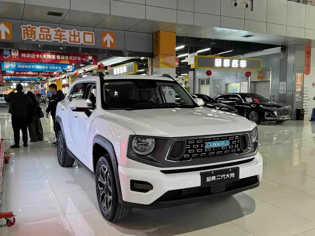 Haval H7 (Big Dog Plus) New Energy — фото 7
