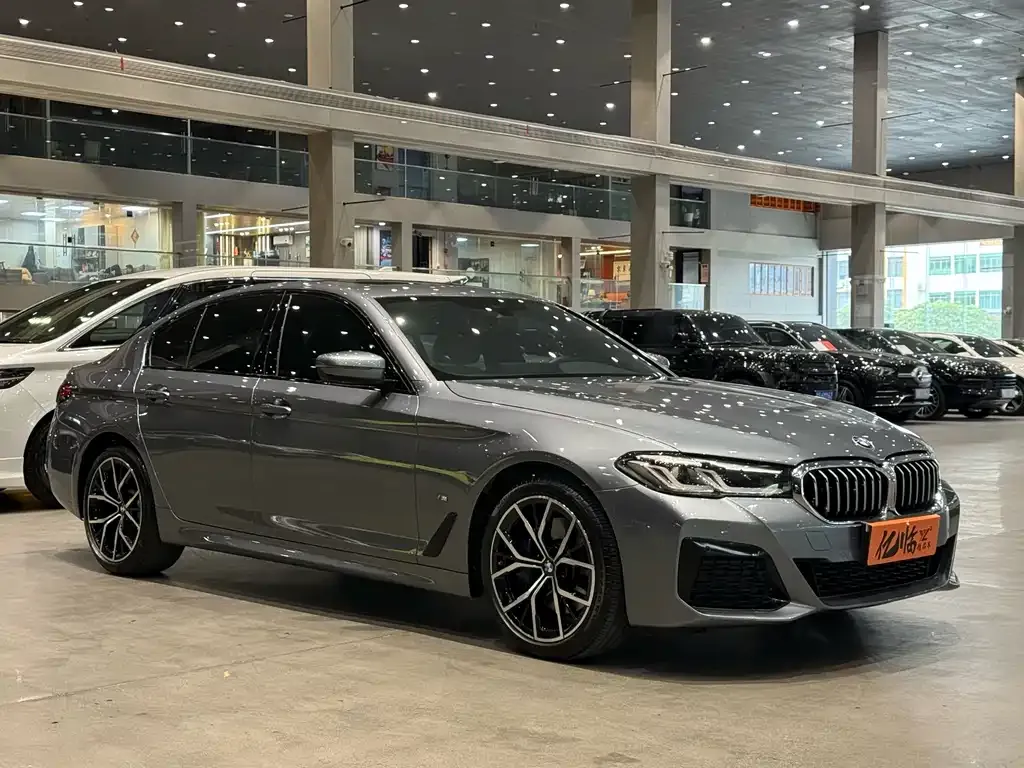 BMW 5 Series (Import) — фото 9