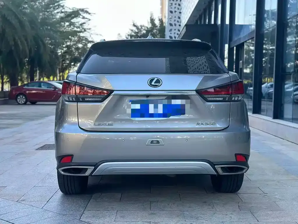 Lexus RX — фото 5