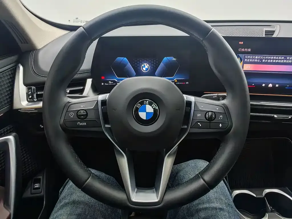 BMW X1 — фото 10