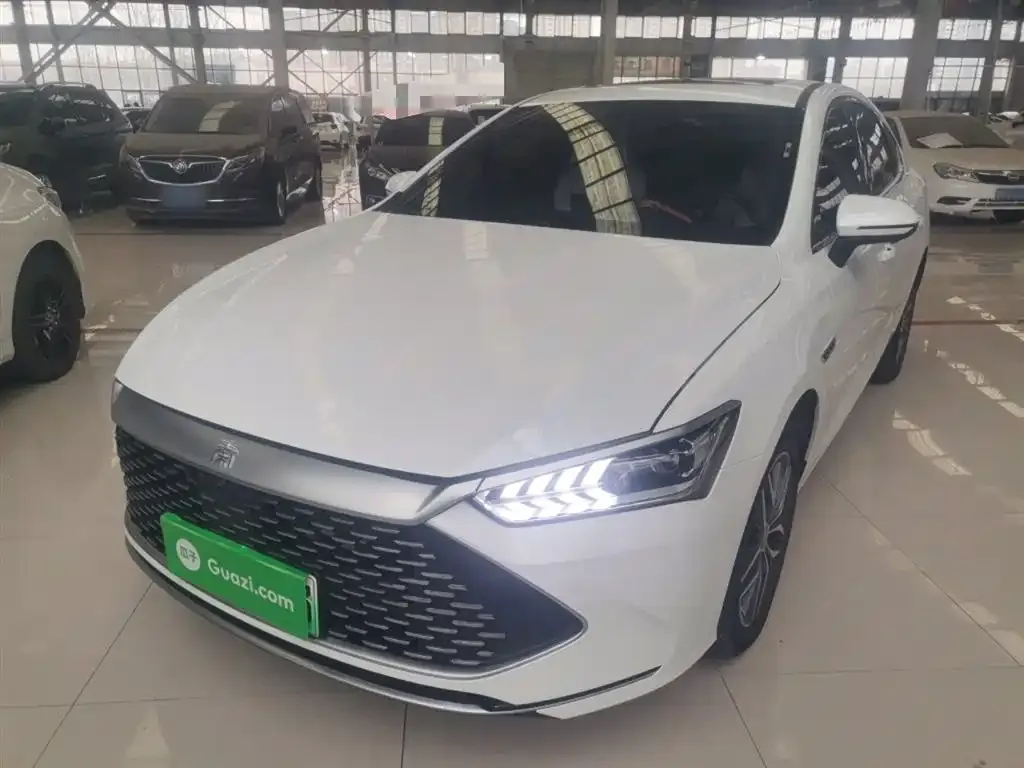 BYD Qin PLUS — фото 1