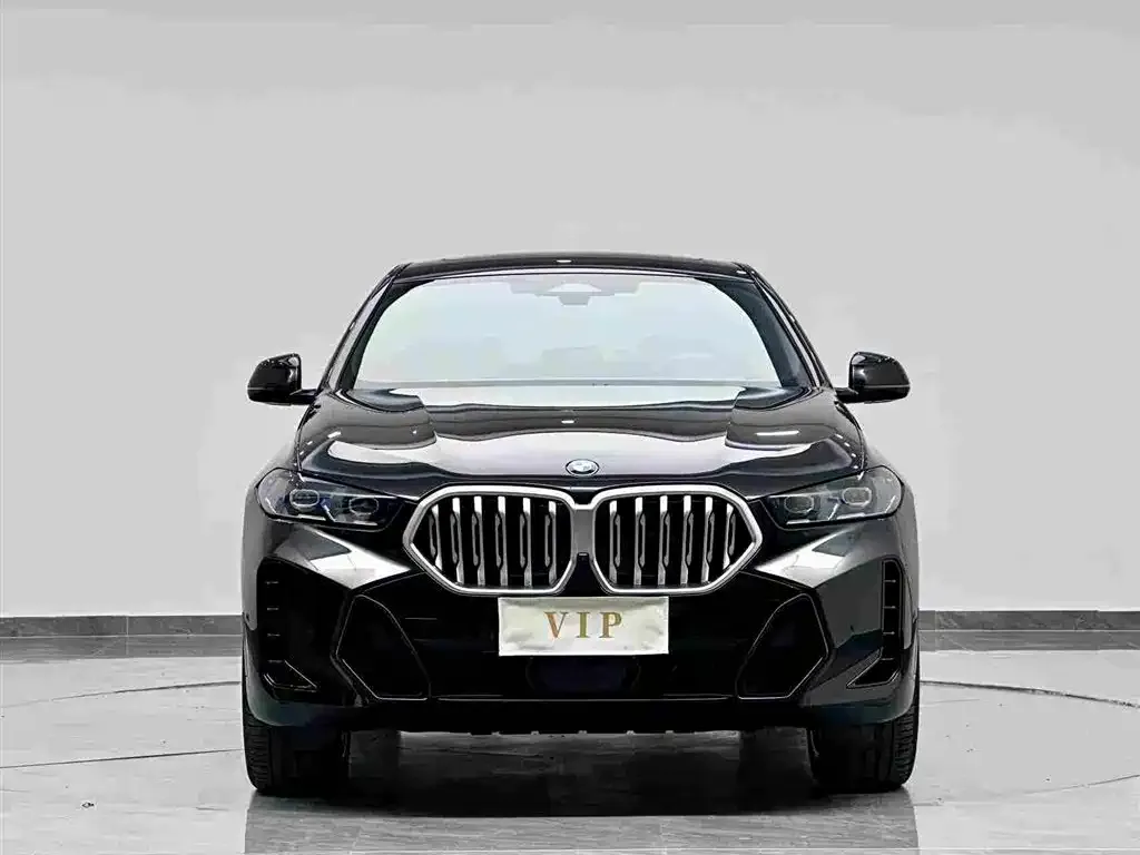BMW X6 — фото 3