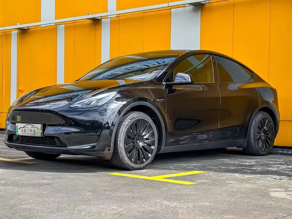 Tesla Model Y — фото 1