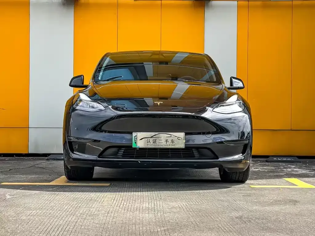 Tesla Model Y — фото 5