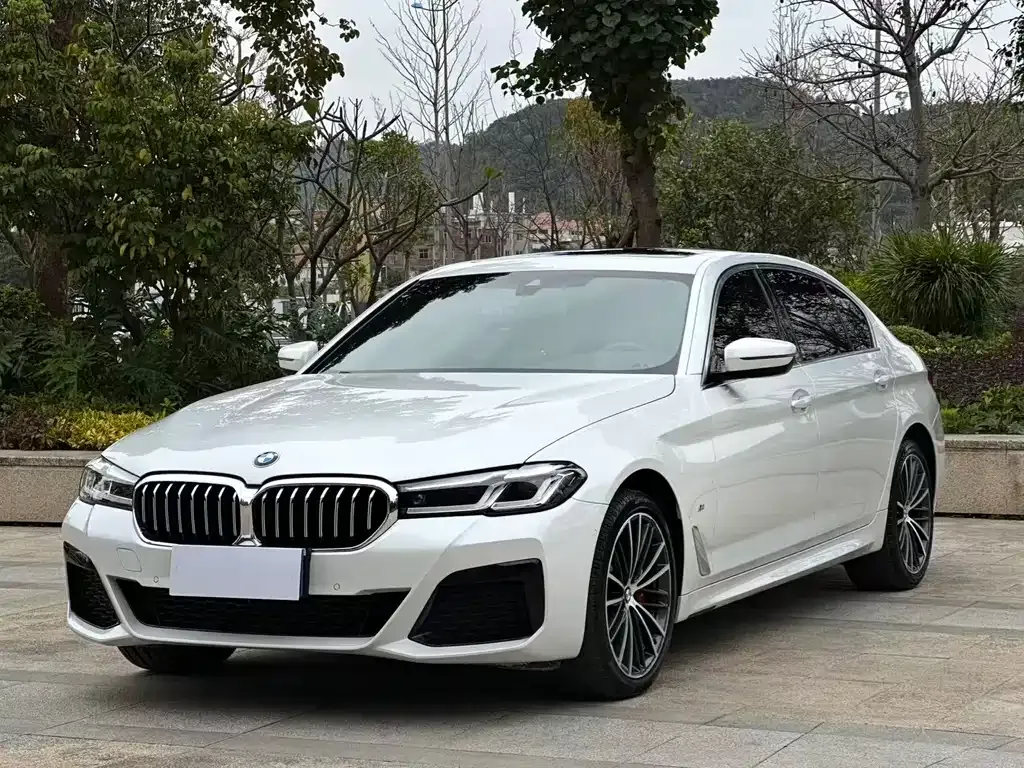 BMW 5 Series — фото 1