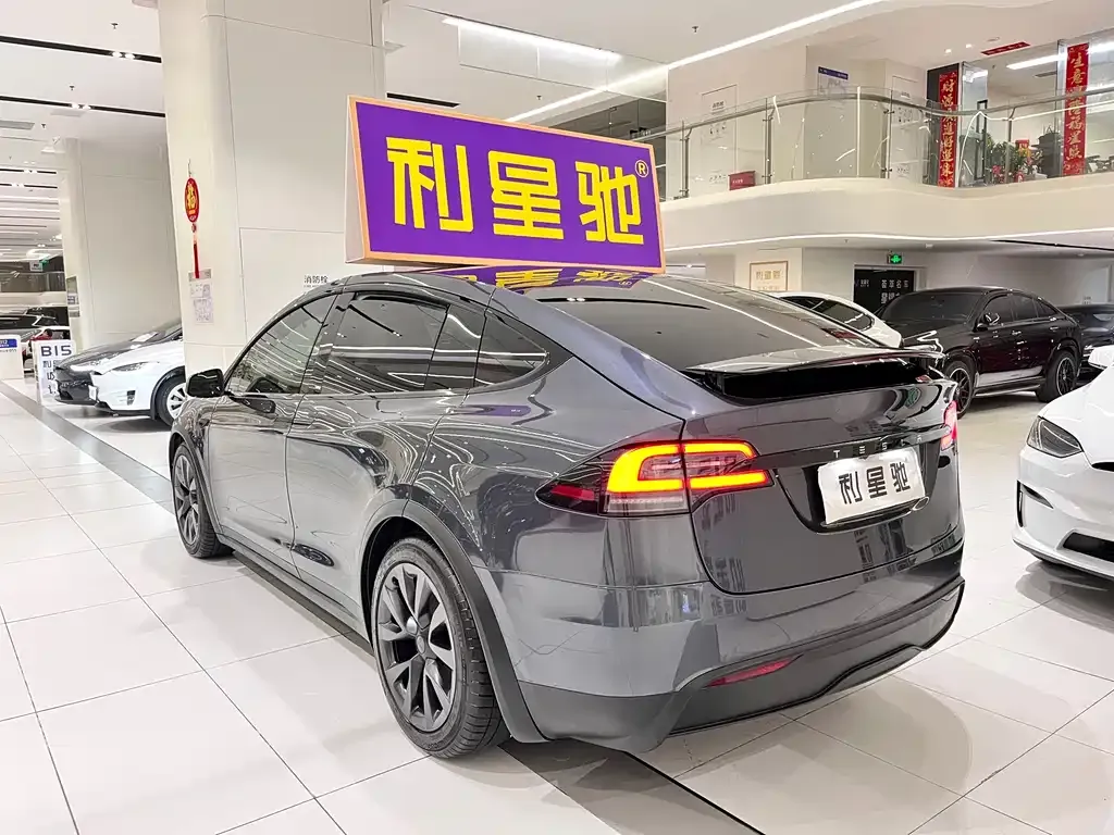 Tesla Model X — фото 9
