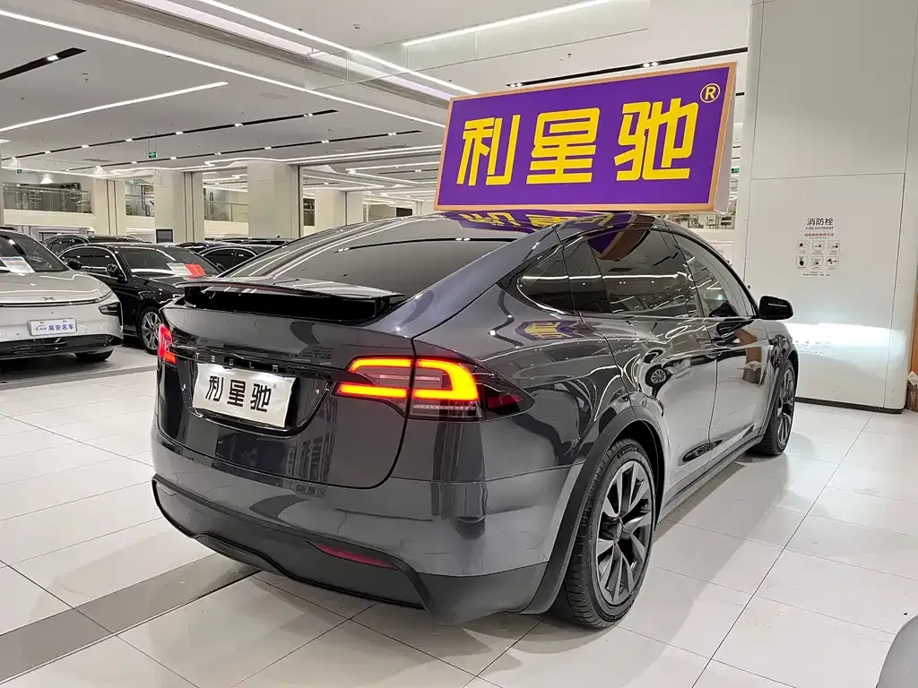 Tesla Model X — фото 5