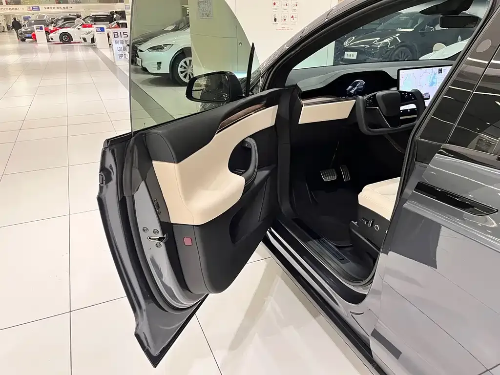 Tesla Model X — фото 4