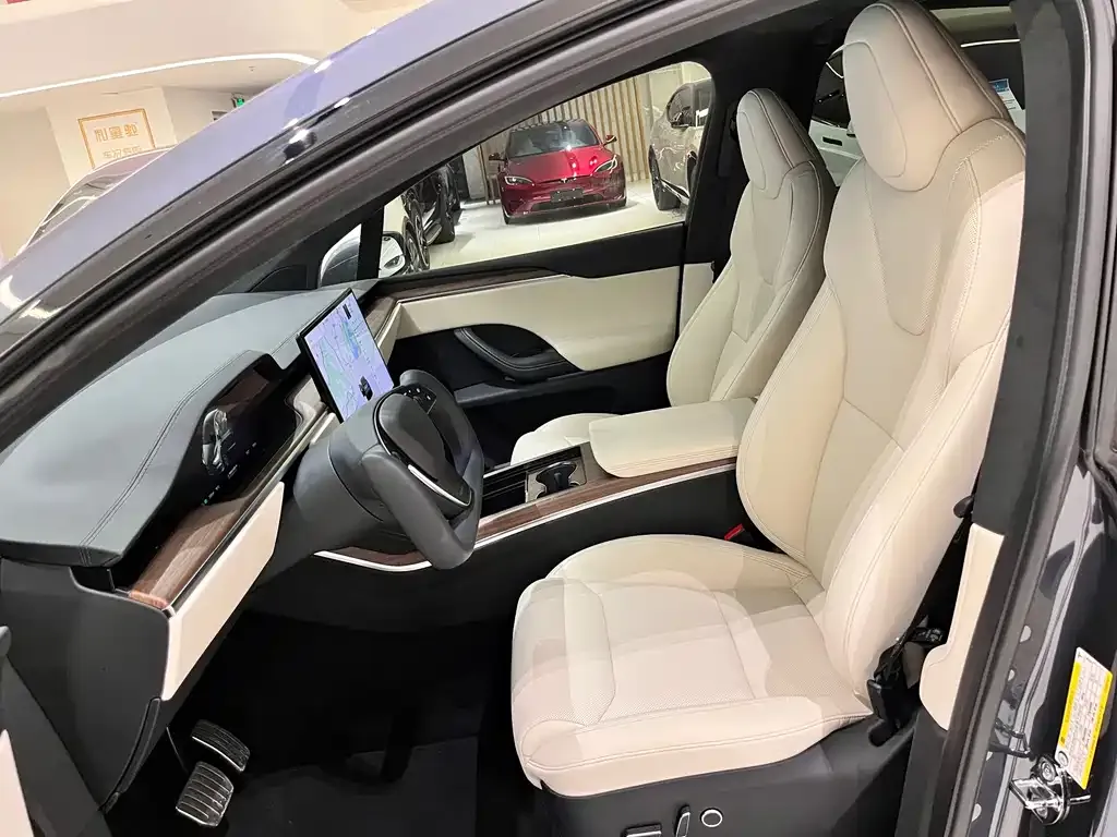 Tesla Model X — фото 8