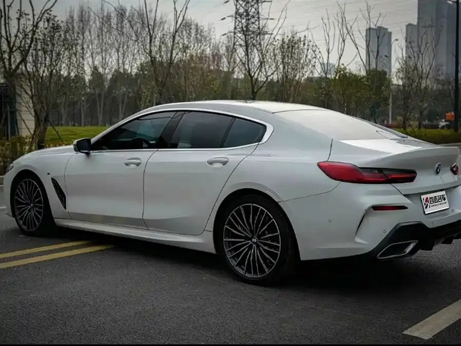 BMW 8 Series — фото 8
