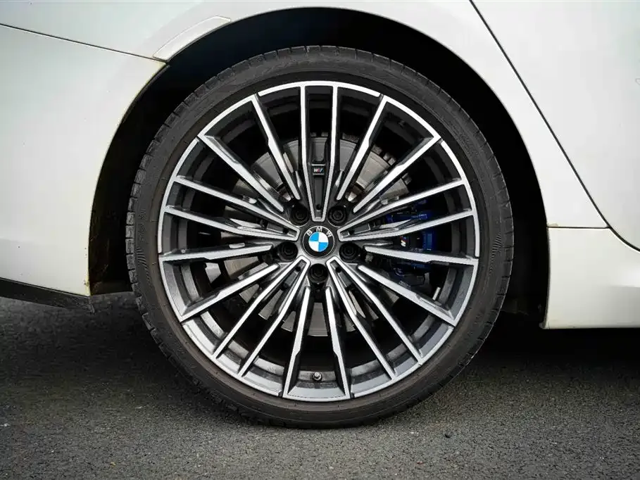 BMW 8 Series — фото 10