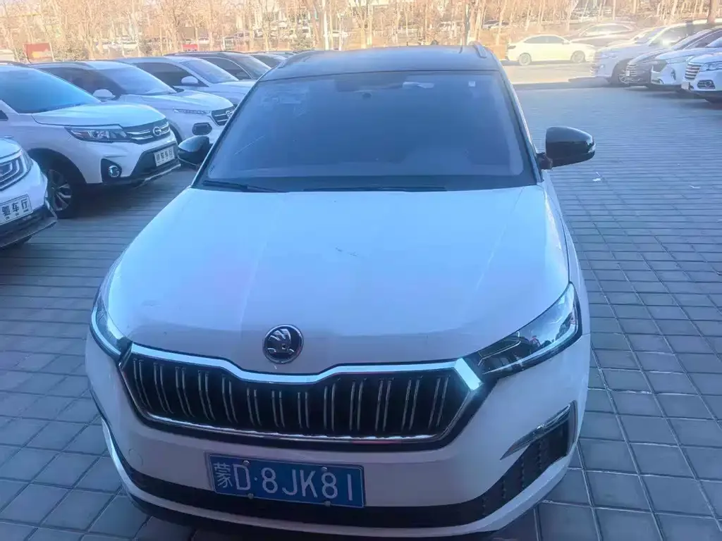 Skoda Kamiq — фото 6