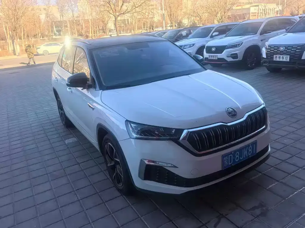 Skoda Kamiq — фото 4