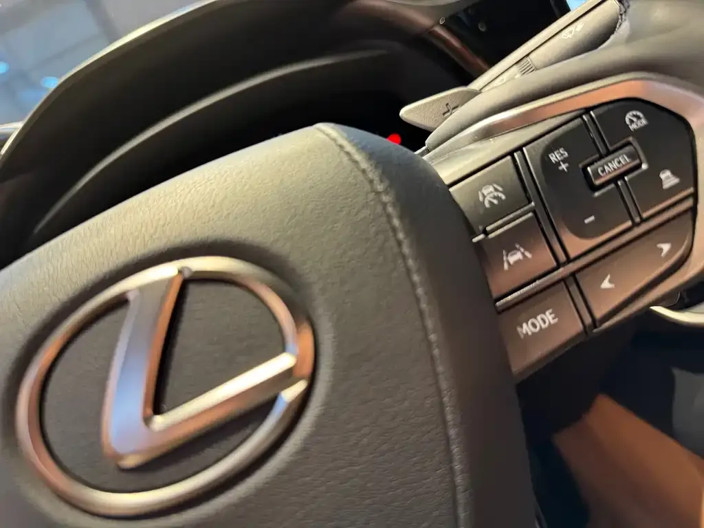 Lexus RZ — фото 10