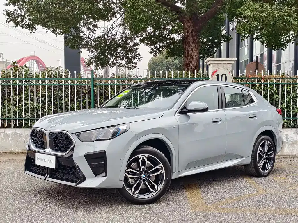 BMW X2 (Import) — фото 1