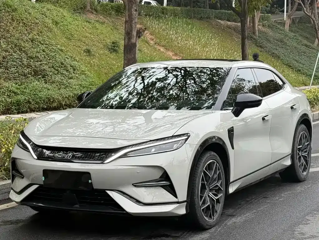 BYD L EV — фото 1