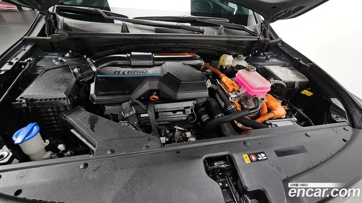 Kia Sportage — фото 2