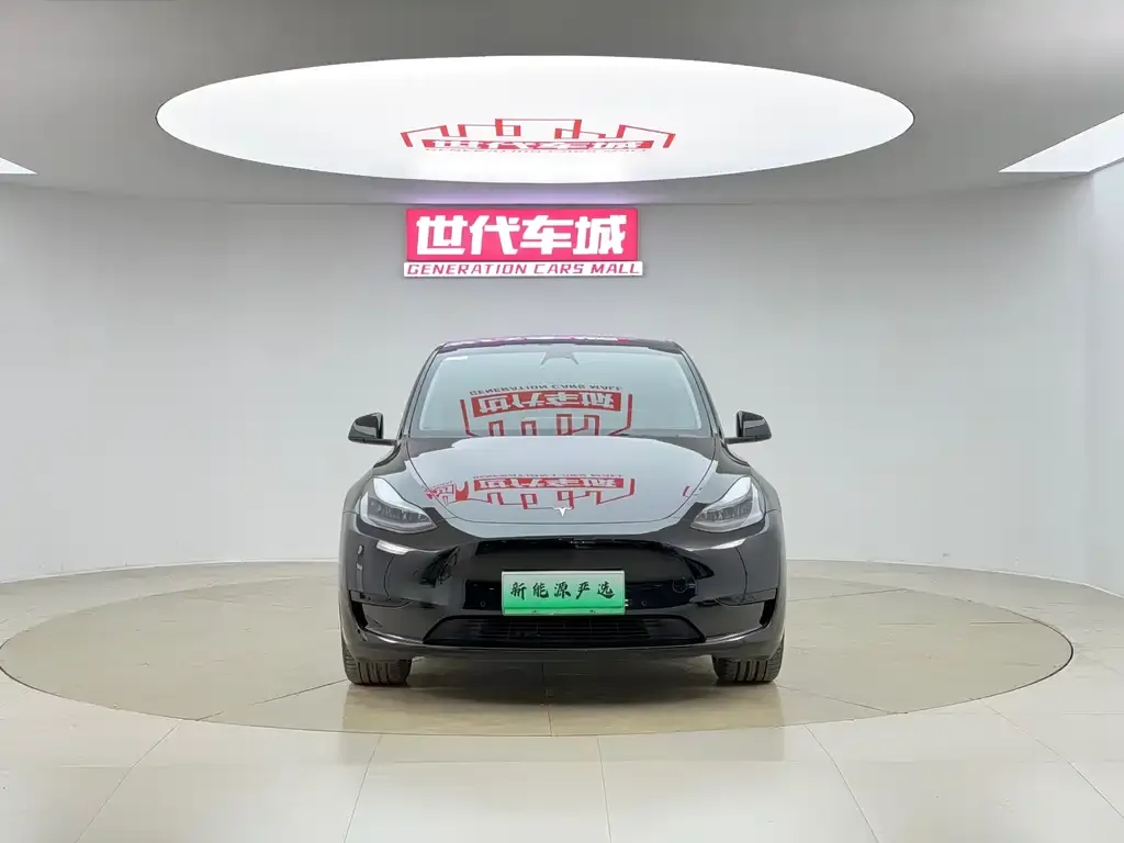 Tesla Model Y — фото 2