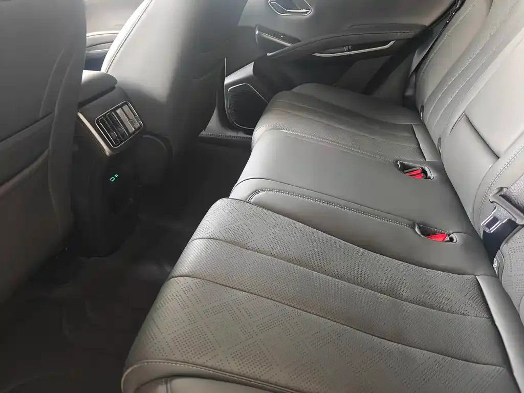 BYD L DM-i — фото 6