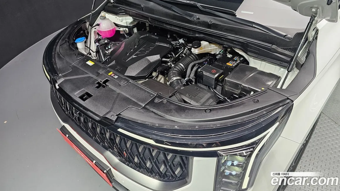 Kia Carnival — фото 10