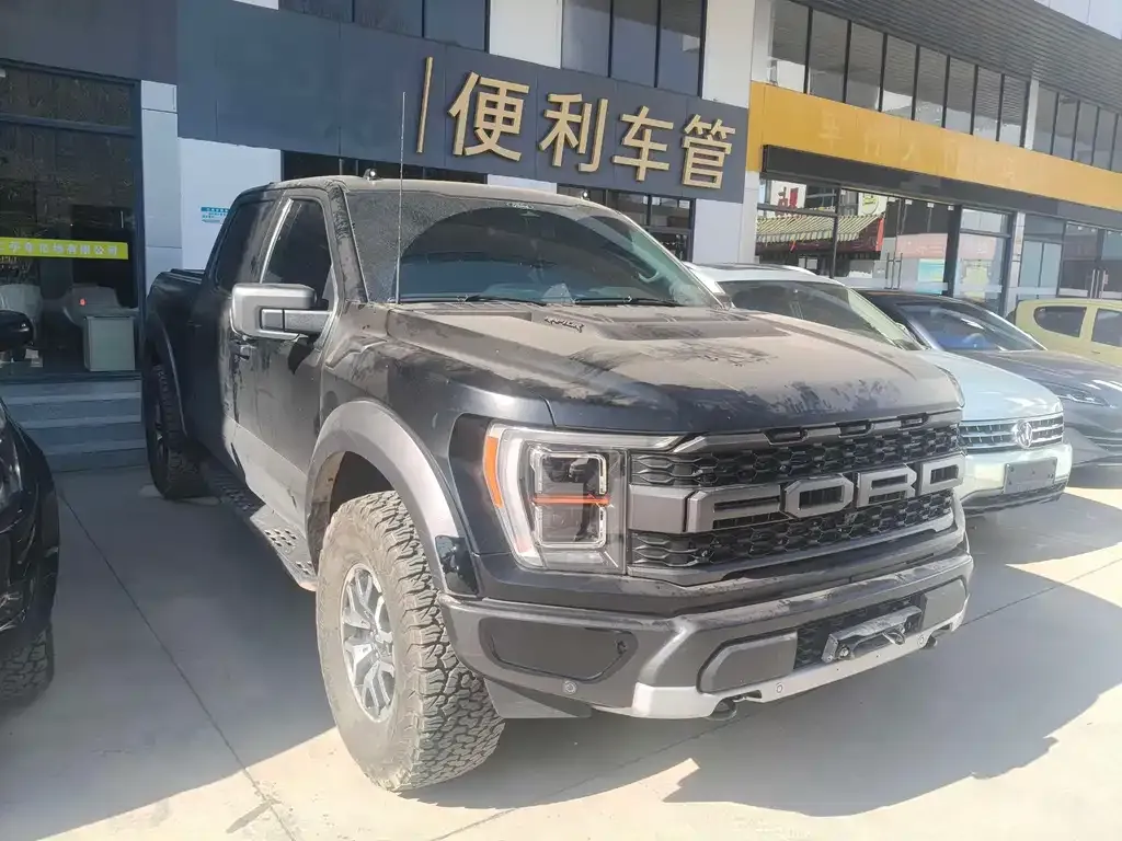 Ford F-150 Raptor — фото 8
