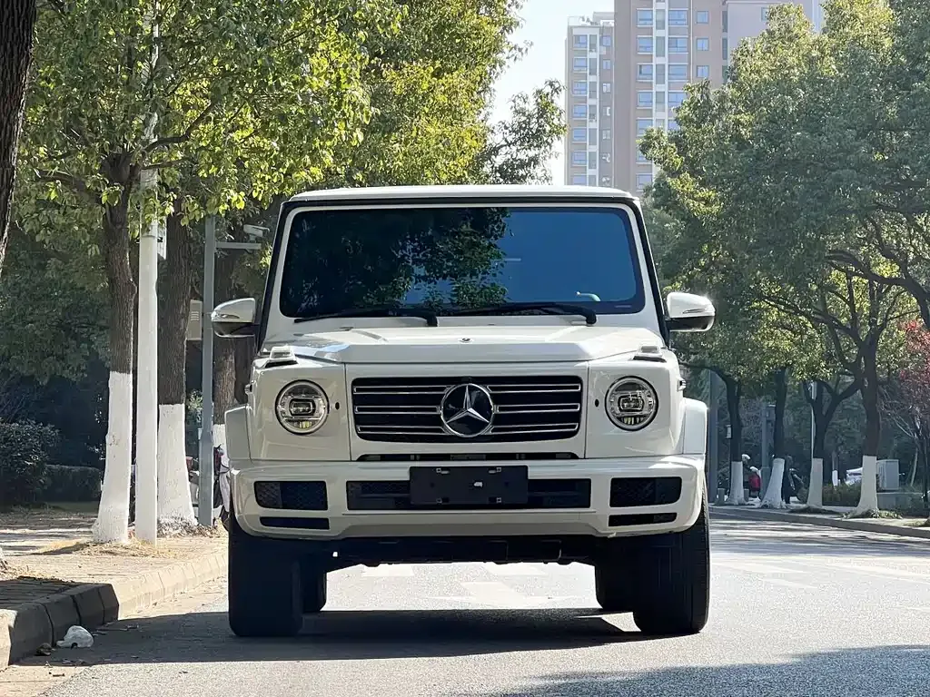 Mercedes-Benz G-Class — фото 5