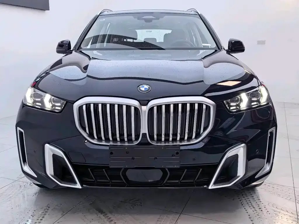 BMW X5 — фото 10