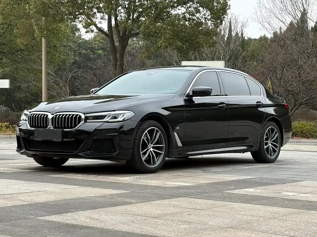 BMW 5 Series — фото 1