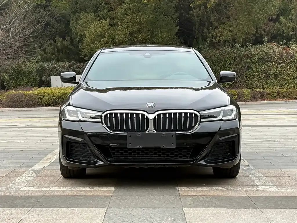 BMW 5 Series — фото 5