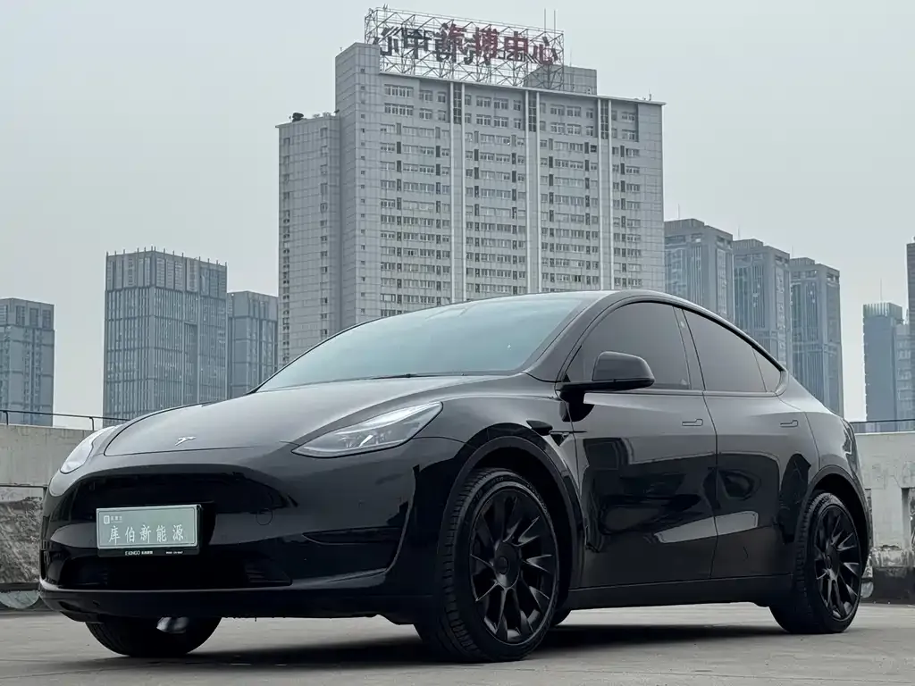 Tesla Model Y — фото 1