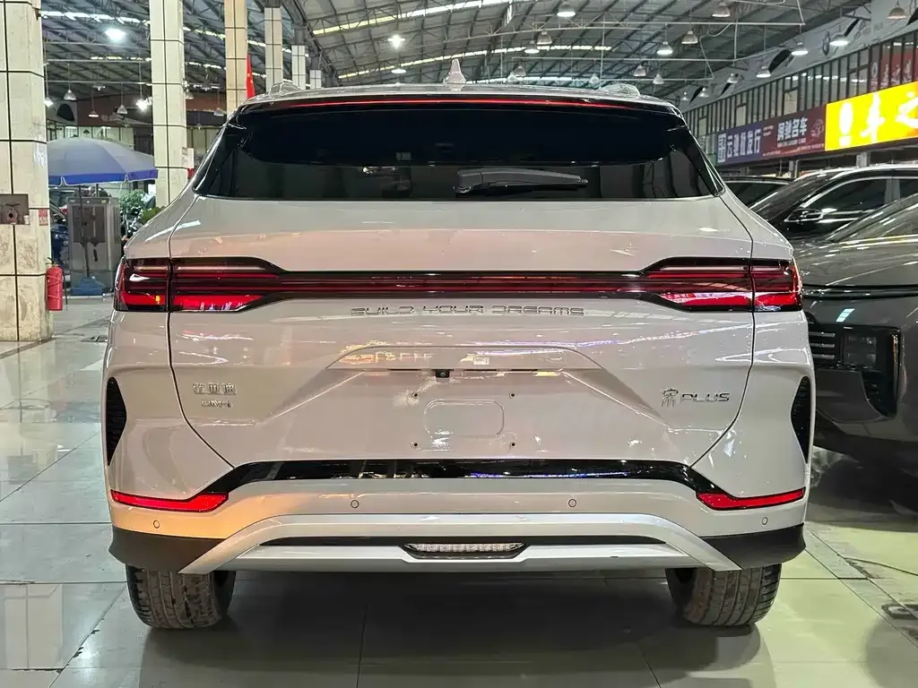 BYD PLUS New Energy — фото 8