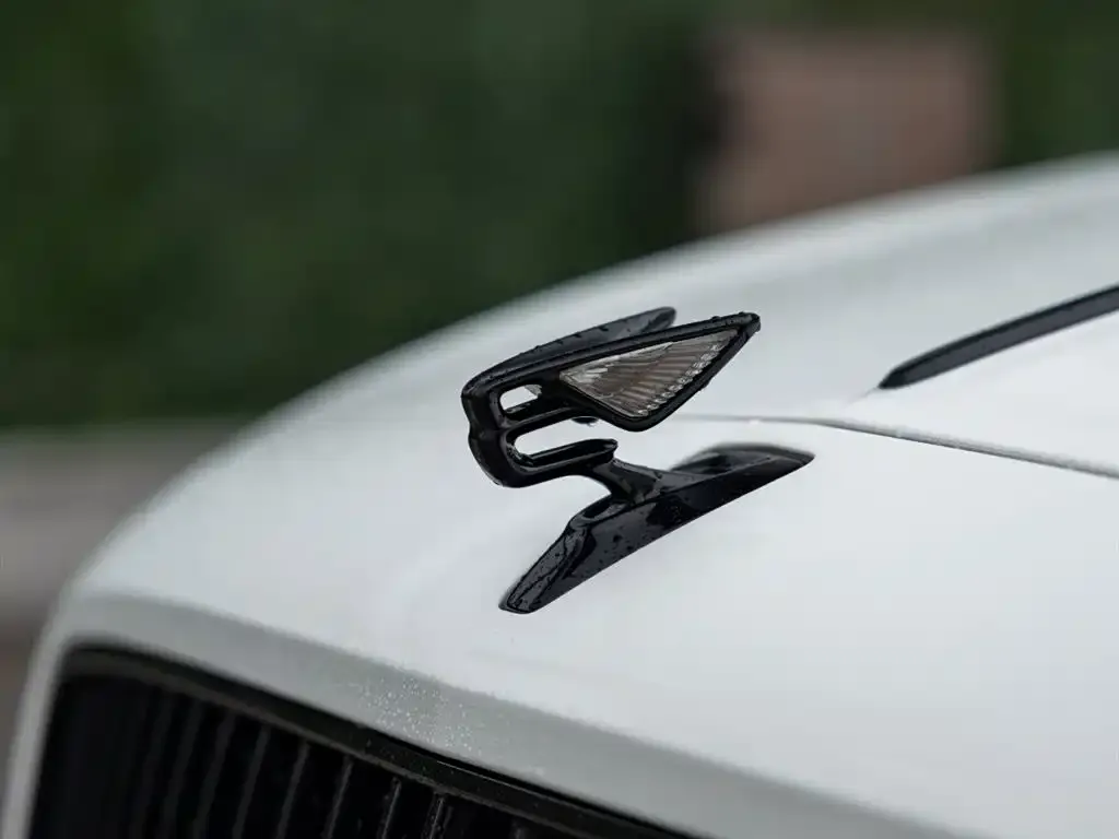 Bentley Flying Spur — фото 2