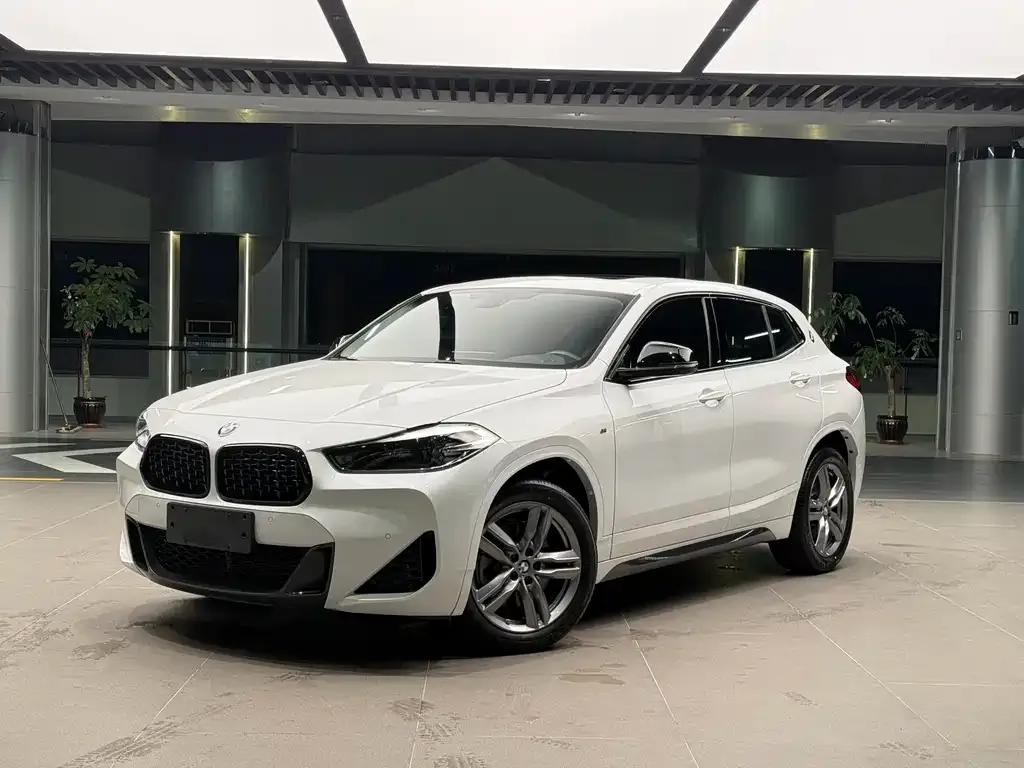 BMW X2 — фото 1