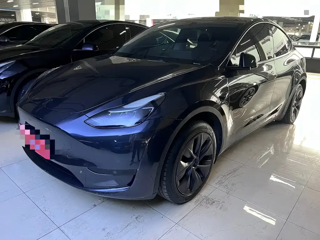 Tesla Model Y — фото 1