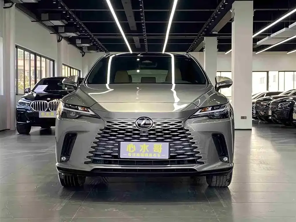 Lexus RX — фото 9