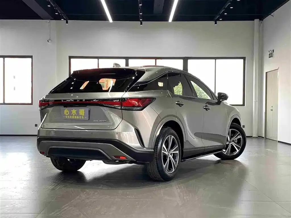 Lexus RX — фото 3