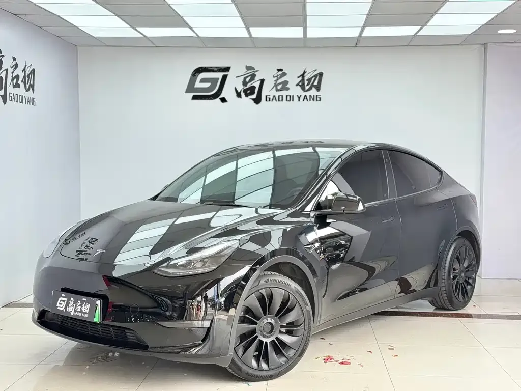 Tesla Model Y — фото 1
