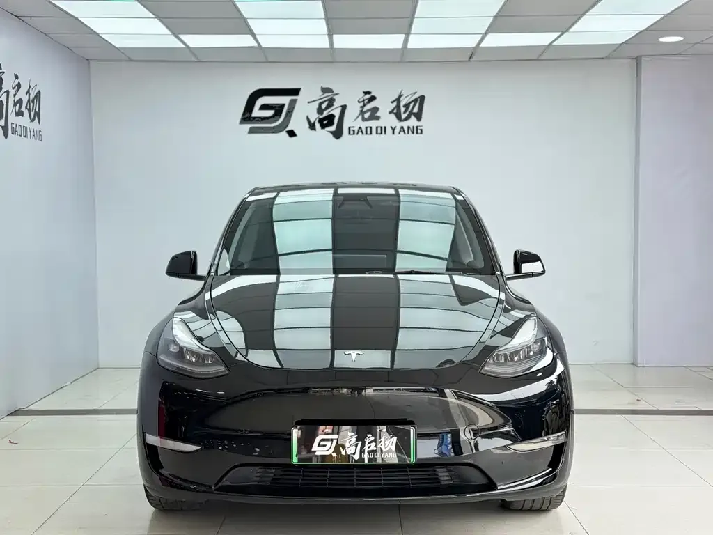 Tesla Model Y — фото 2