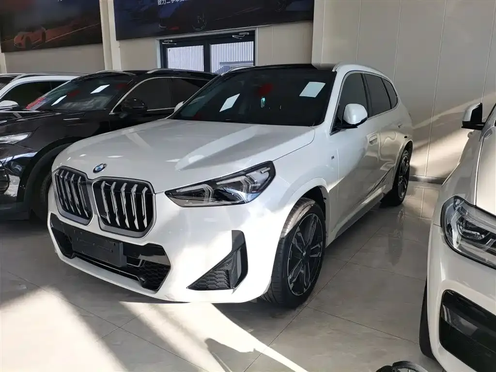 BMW X1 — фото 1