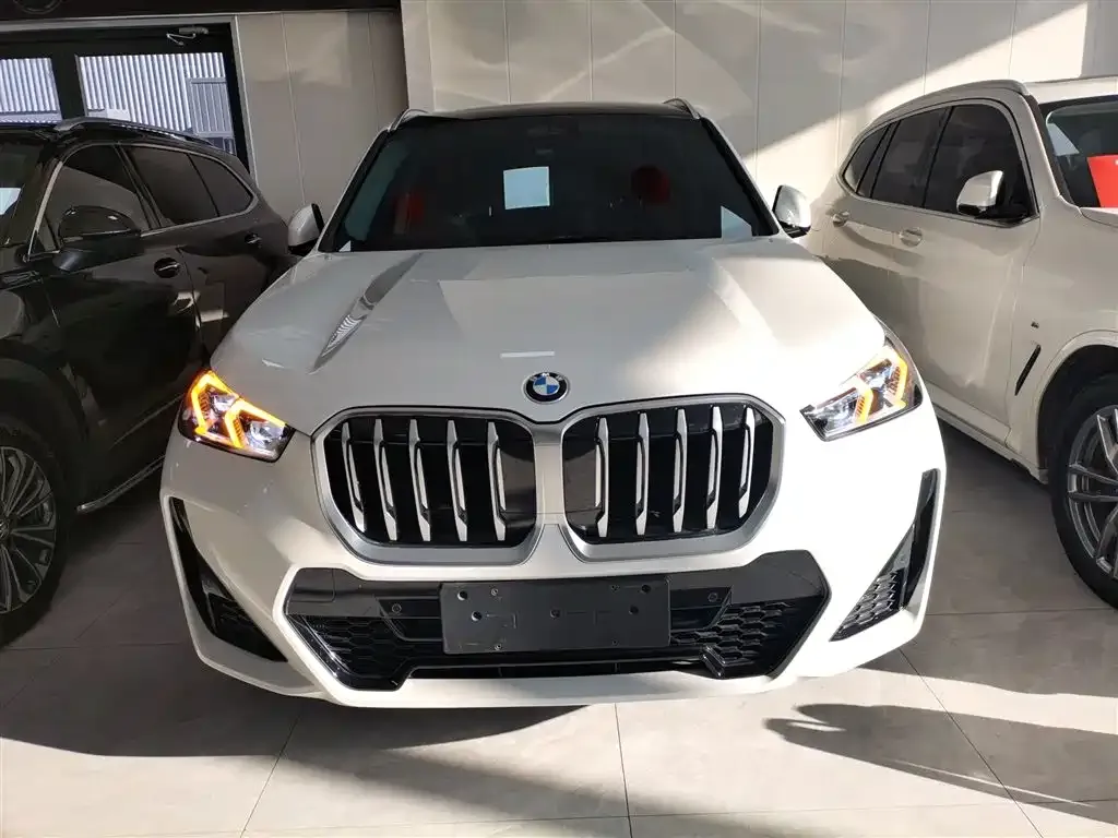 BMW X1 — фото 4