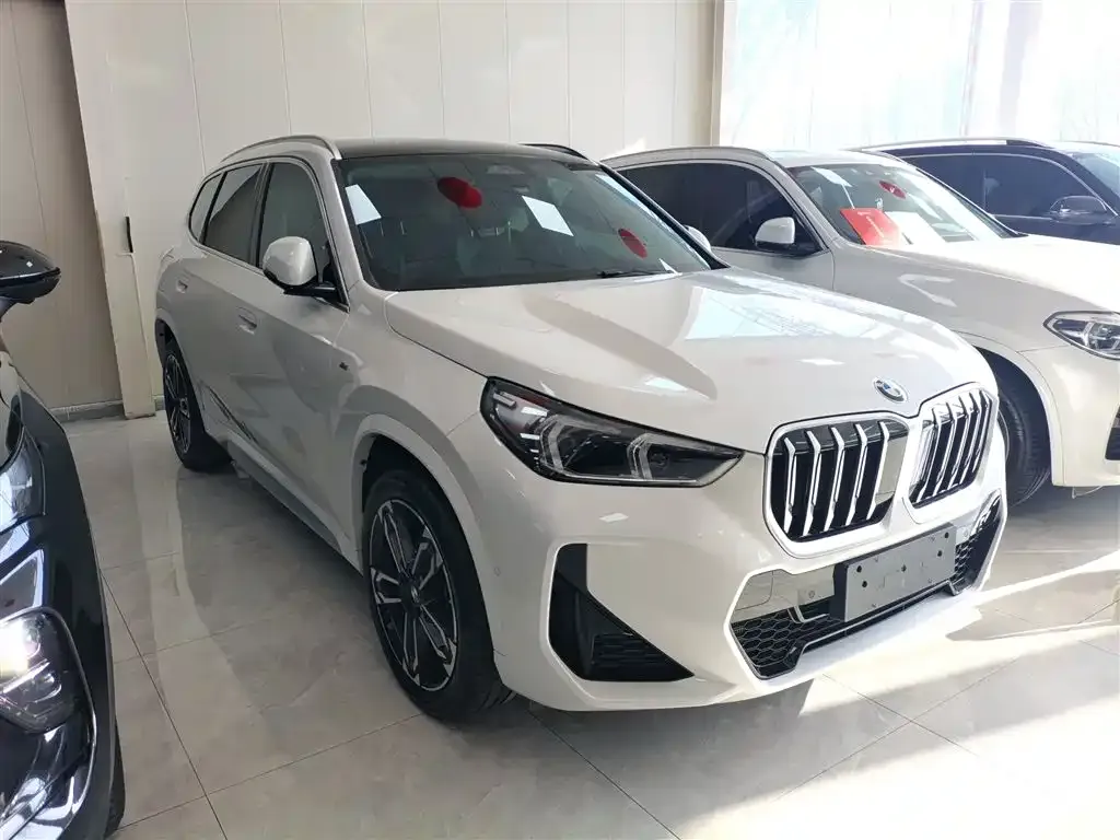 BMW X1 — фото 2